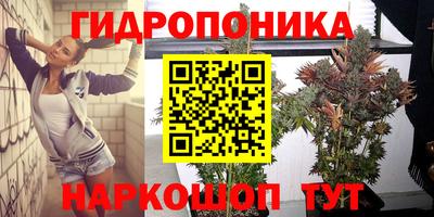 тгк Балахна