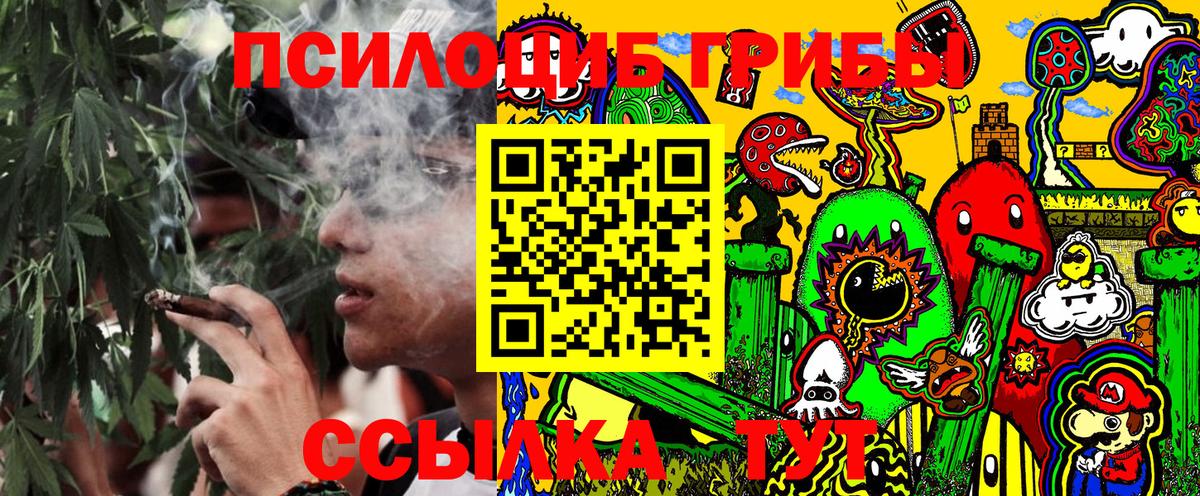 Псилоцибиновые грибы Psilocybine cubensis Донецк