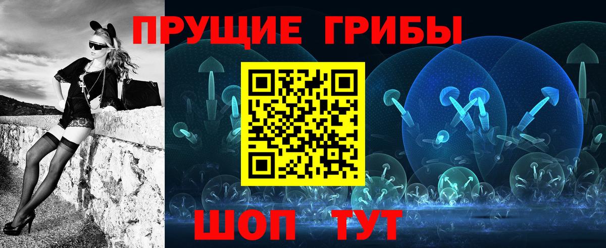 Псилоцибиновые грибы Cubensis  Вход с VPN  Донецк 